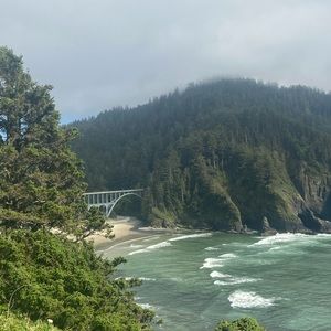 Meet your Posher, Bella